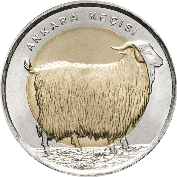Ankara Keçisi